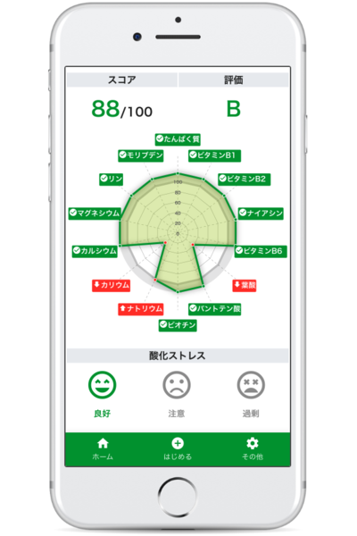 初回の検査結果。葉酸とカリウムが大幅に不足していた。※リニューアル後のマイページ総合結果画面